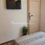 Rent 2 bedroom apartment of 55 m² in Padua