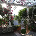 Rent 10 bedroom house of 350 m² in Anacapri