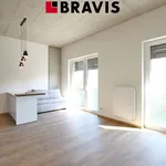 Rent 1 bedroom apartment of 35 m² in Brno