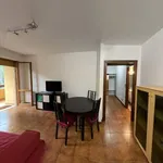 Rent 3 bedroom apartment of 60 m² in Rome