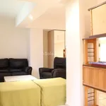 Rent 1 bedroom apartment of 55 m² in Segrate