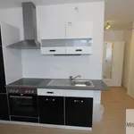 Rent 1 bedroom apartment of 28 m² in Nuremberg