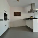 Rent 5 bedroom house of 162 m² in Eindhoven