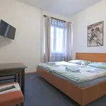 Pronájem bytu 1+1 35m²