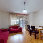 Rent 3 bedroom apartment of 100 m² in Perugia