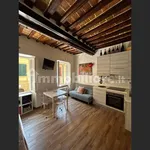 Rent 1 bedroom apartment of 30 m² in Siena