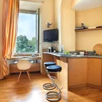 Rent 1 bedroom apartment in turin