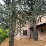 Villa in affitto a Castelnuovo Rangone , arredato, giardino privato, posto auto - TrovaCasa