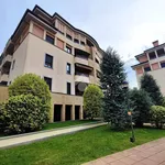 Rent 2 bedroom apartment of 58 m² in Legnano