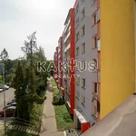 Rent 1 bedroom apartment in Ostrava