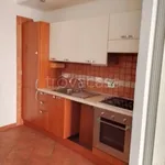 Rent 2 bedroom apartment of 45 m² in Roma