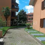 Rent 3 bedroom apartment of 110 m² in Peschiera Borromeo