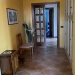 Rent 5 bedroom apartment of 105 m² in Siena