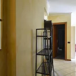 Rent 1 bedroom apartment in Rome