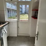 Huur 3 slaapkamer appartement van 50 m² in Rotterdam