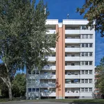 Rent 4 bedroom apartment of 78 m² in Hagen