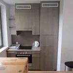 Rent 1 bedroom apartment in Brussels