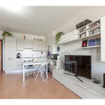 Rent 2 bedroom apartment of 68 m² in Milano