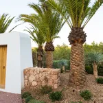 Rent 6 bedroom house in Ibiza