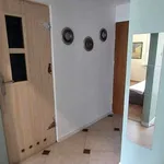 Rent 2 bedroom apartment of 33 m² in Sosnowiec