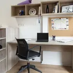 Rent 1 bedroom apartment in valencia