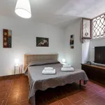 Rent 1 bedroom apartment in Florence