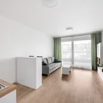 Studio of 34 m² in Prague