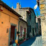 Rent 3 bedroom apartment of 60 m² in Bracciano