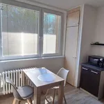 Pronajměte si 2 ložnic/e byt o rozloze 33 m² v Vyškov