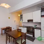 Rent 2 bedroom apartment of 54 m² in Castellanza