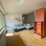 Rent 3 bedroom apartment of 68 m² in Ostrava