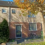 Rent 5 bedroom house of 112 m² in Almere