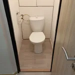 Rent 1 bedroom apartment in Přerov