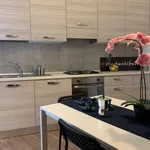 Rent a room in turin