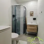 Rent 1 bedroom apartment in Karviná