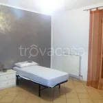 Rent 3 bedroom apartment of 78 m² in Torino