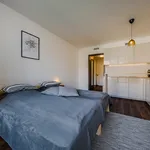 Pronajměte si 1 ložnic/e byt o rozloze 24 m² v Prague