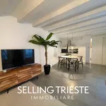 Rent 1 bedroom apartment of 56 m² in Trieste