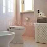 Rent 3 bedroom apartment of 75 m² in Nardò