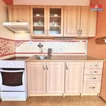 Rent 1 bedroom apartment of 36 m² in Jílové