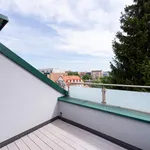 Rent 2 bedroom apartment of 54 m² in Graz