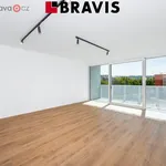 Rent 2 bedroom apartment of 62 m² in Brno