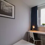 Rent a room in warsaw