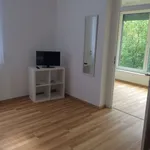 Miete 1 Schlafzimmer wohnung von 45 m² in Mannheim