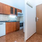 Rent 1 bedroom apartment of 33 m² in Prague