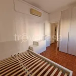 Rent 3 bedroom apartment of 80 m² in San Donato Milanese