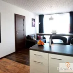 Rent 2 bedroom apartment of 35 m² in Rzeszów