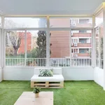 Rent 8 bedroom apartment in Madrid