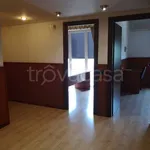 Rent 5 bedroom apartment of 100 m² in Velletri