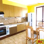 Rent 4 bedroom apartment of 110 m² in Znojmo